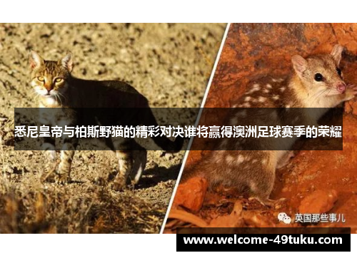 悉尼皇帝与柏斯野猫的精彩对决谁将赢得澳洲足球赛季的荣耀